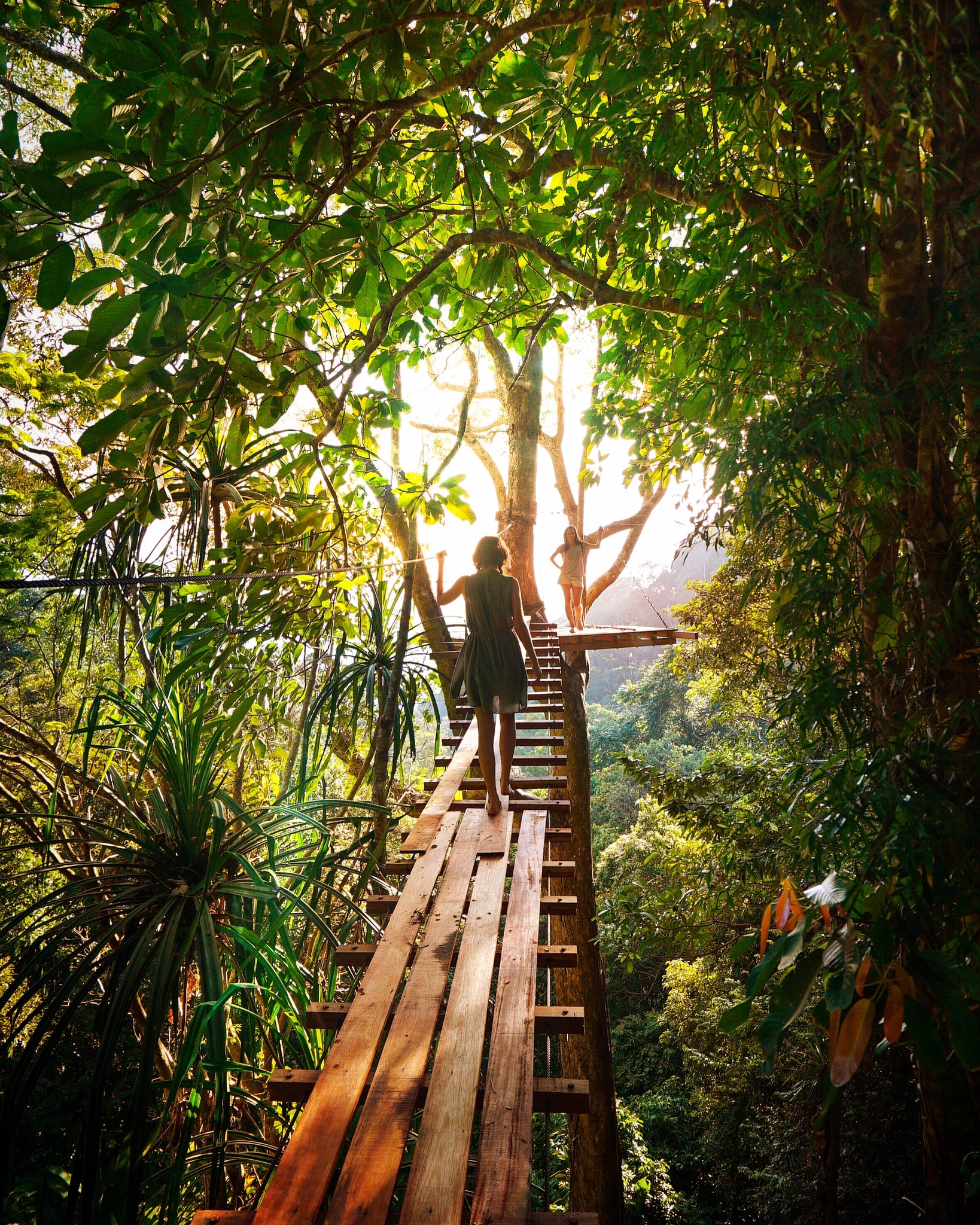 Sustainable bridge in a jungle